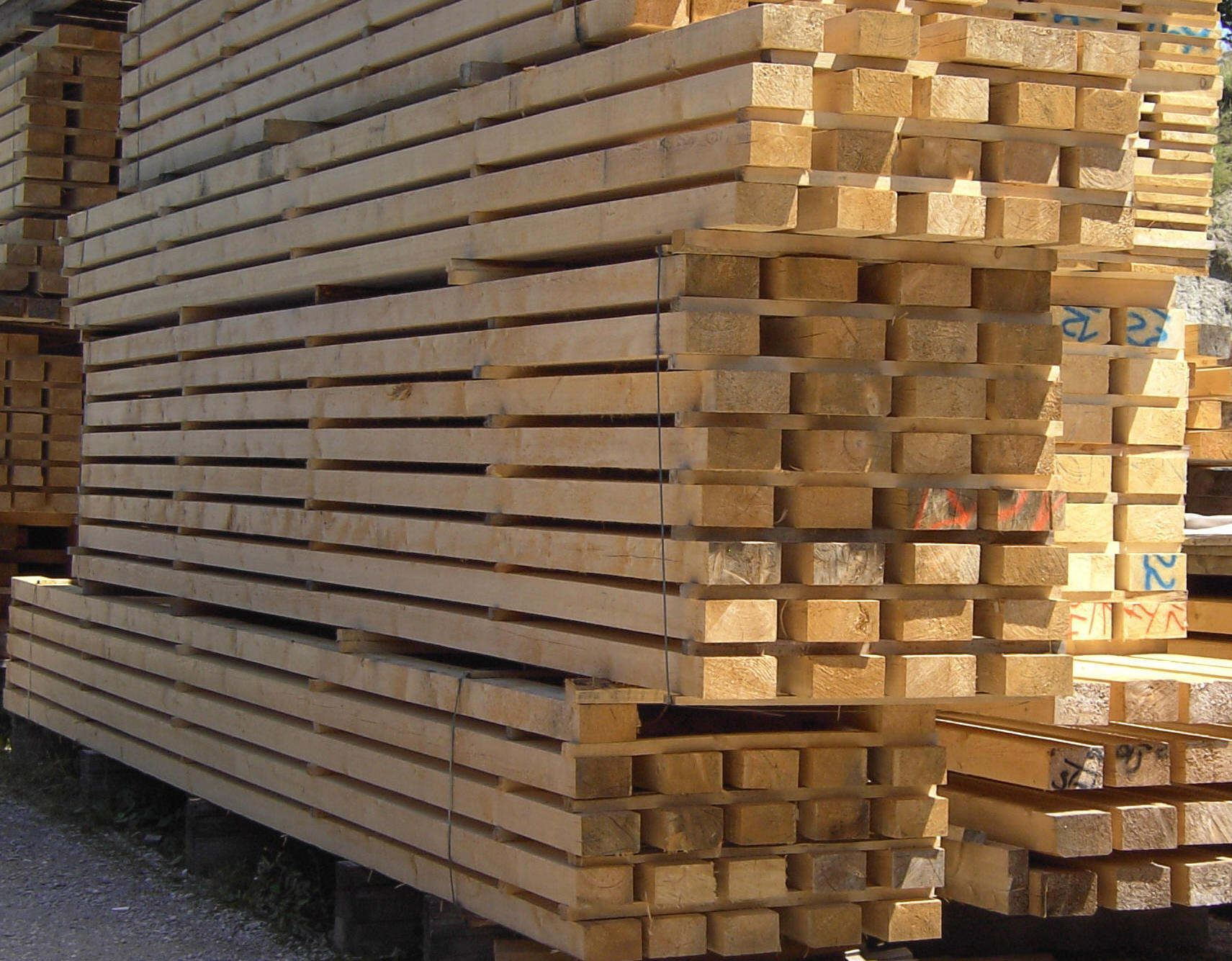 Abgebundenes und zur Abholung vorbereitetes Holz.